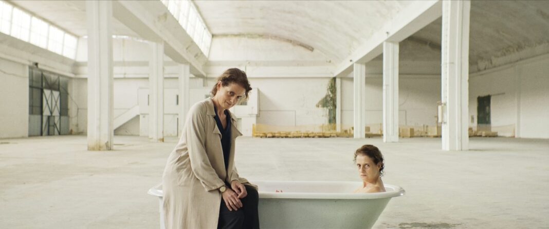 A scene from 'Dreaming of Lions,' directed by Paulo Marinou-Blanco.