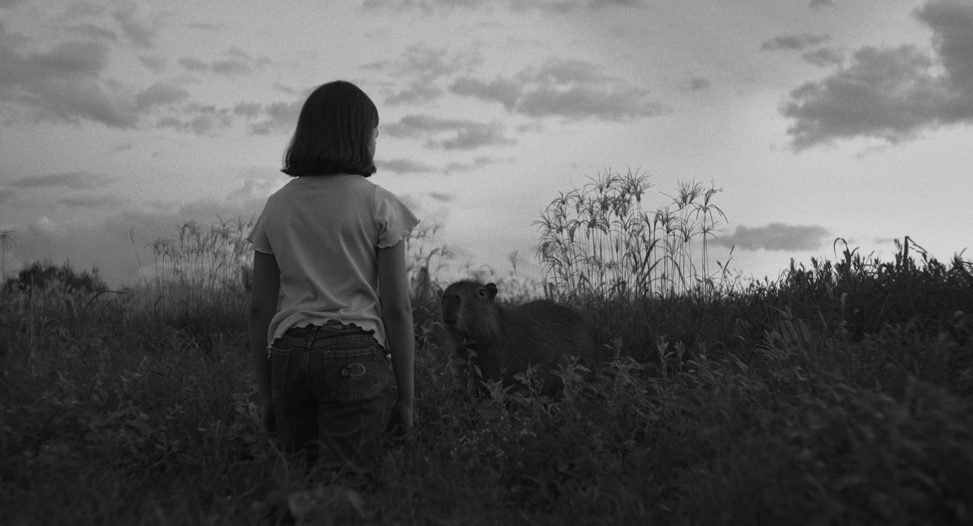 “El mensaje” (“The Message”), Director: Iván Fund.