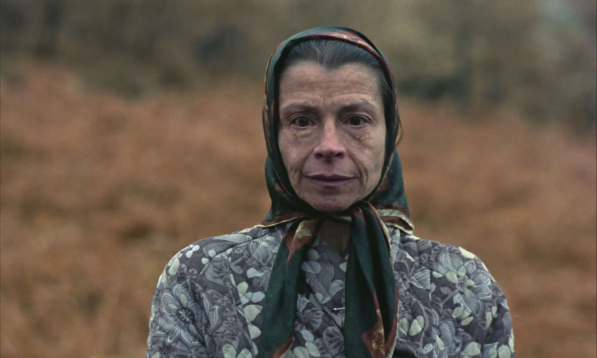 Still: “Furtivos” (“Poachers”), Director: José Luis Borau.